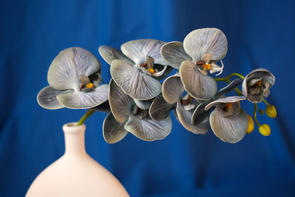 Elegance in Bloom: Artificial Phalaenopsis Orchid