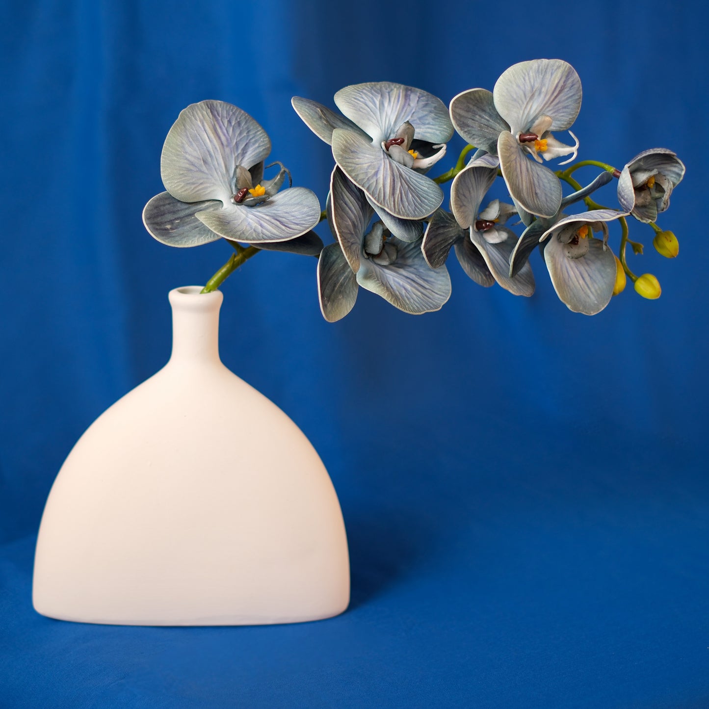 Elegance in Bloom: Artificial Phalaenopsis Orchid