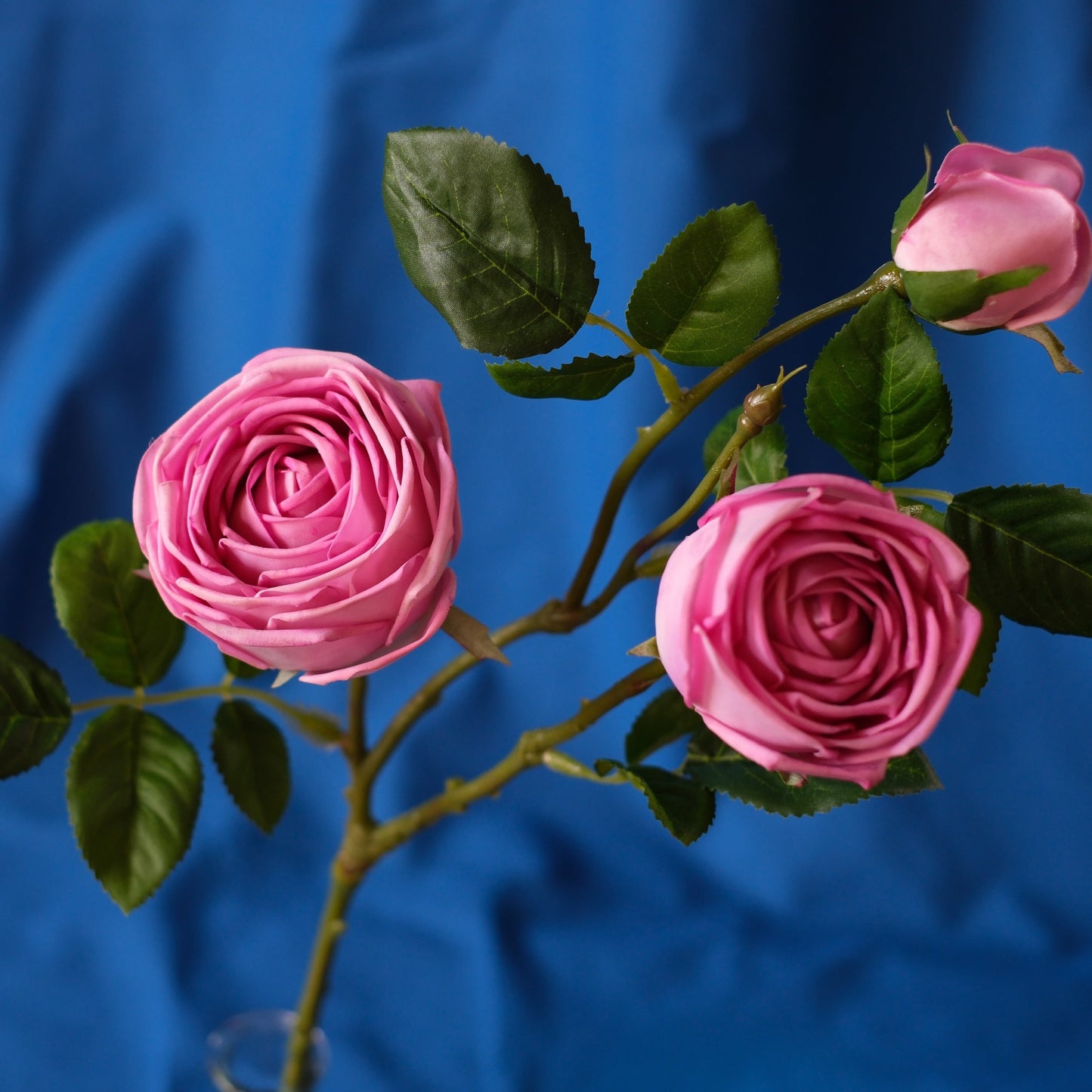 3-Head Moist-Touch Rose.high quality