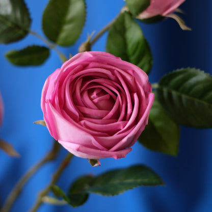 3-Head Moist-Touch Rose.high quality