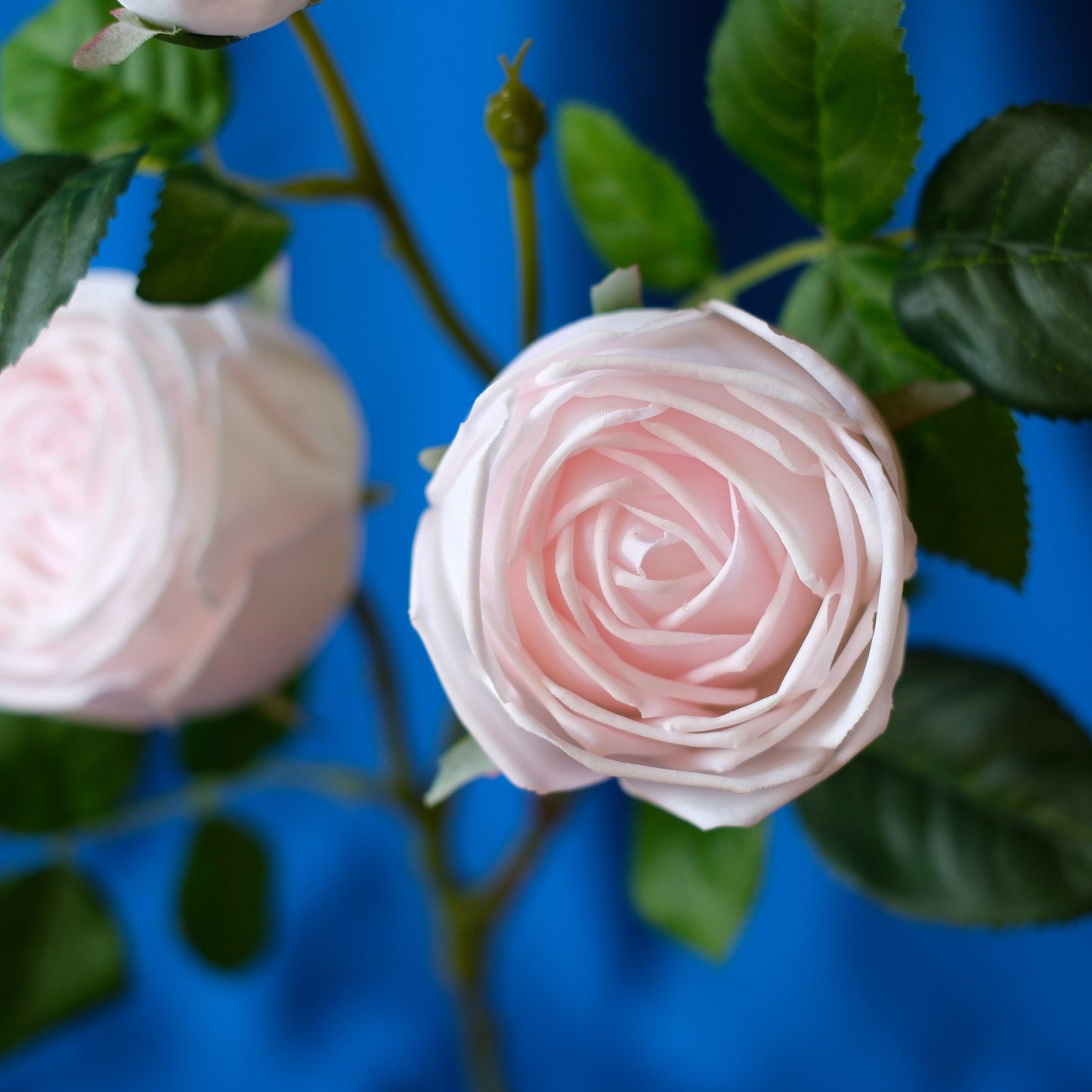 3-Head Moist-Touch Rose.high quality