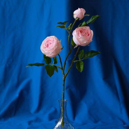 3-Head Moist-Touch Rose.high quality