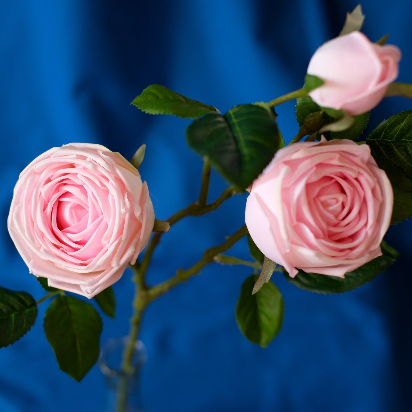 3-Head Moist-Touch Rose.high quality