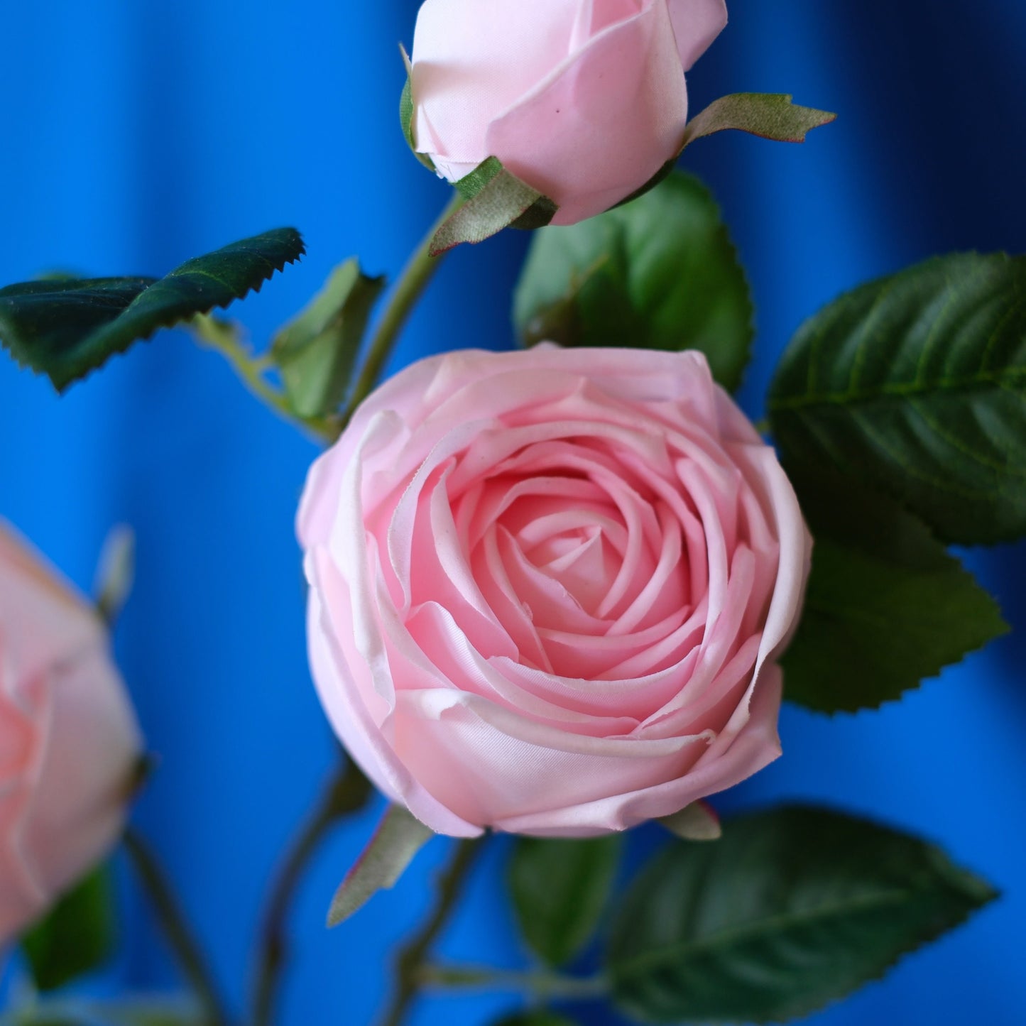 3-Head Moist-Touch Rose.high quality