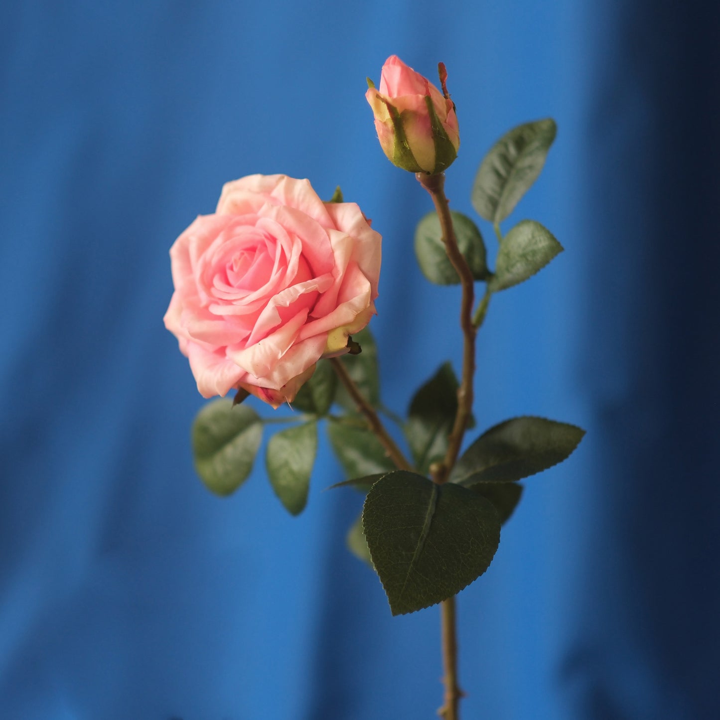 Double-head Curled Edge Rose