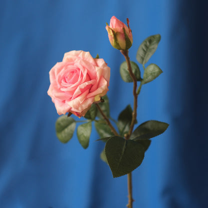 Double-head Curled Edge Rose