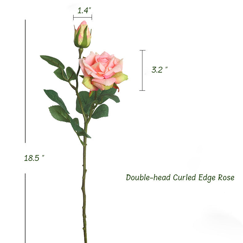 Double-head Curled Edge Rose