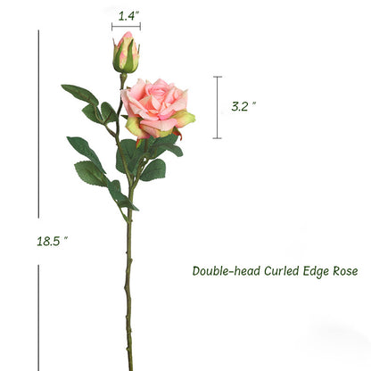 Double-head Curled Edge Rose