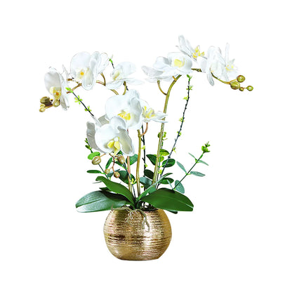 Elegant White Artificial Orchids with Gold Brushed Ceramic Vase – Perfect Tabletop Decoratio